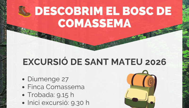 DESCOBRIM EL BOSC DE COMASSEMA PER SANT MATEU!