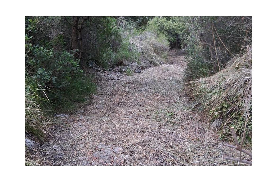 Camí del Comellà de sa Cuina