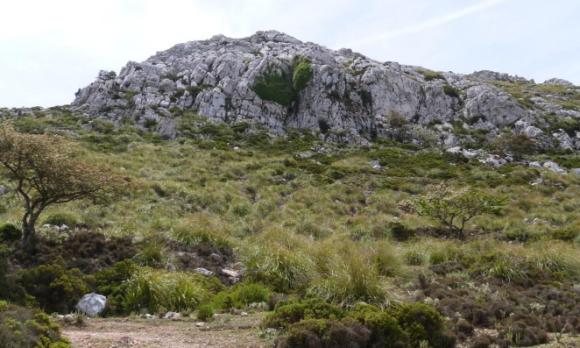 Sortida excursionista al Teix