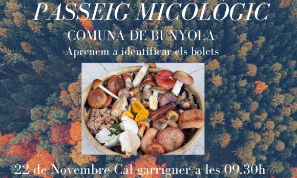 passeig micològic