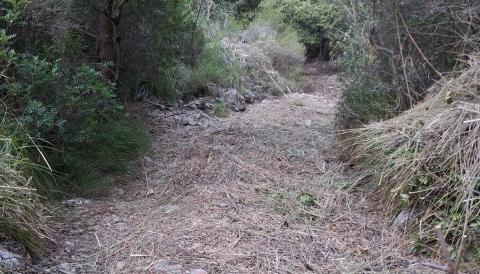 Camí del Comellà de sa Cuina