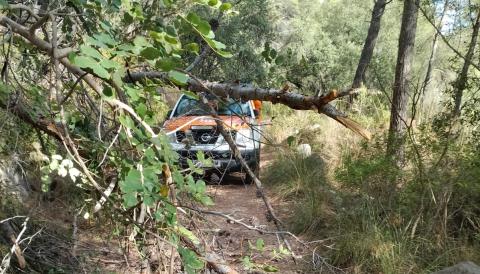 Incidència resolta al camí de Raixa a Raixeta