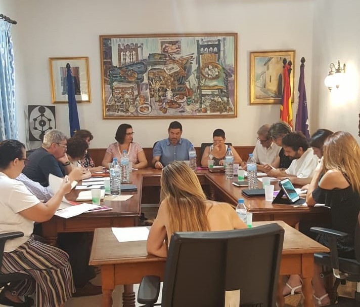 Ple organitzatiu 2019