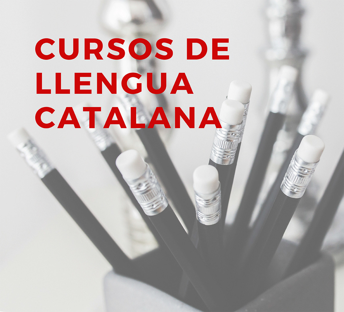 Cursos de català a Bunyola