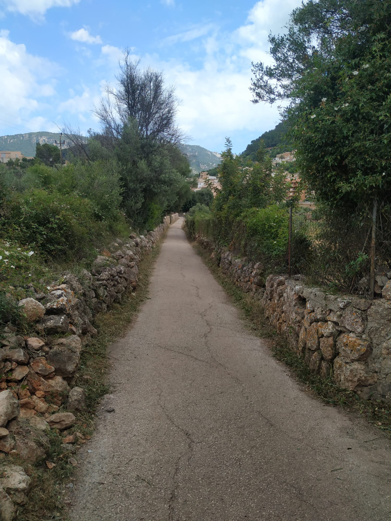 Camí de Caubet