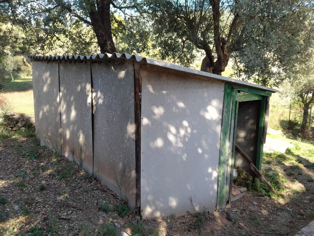 CP Mestre Colom