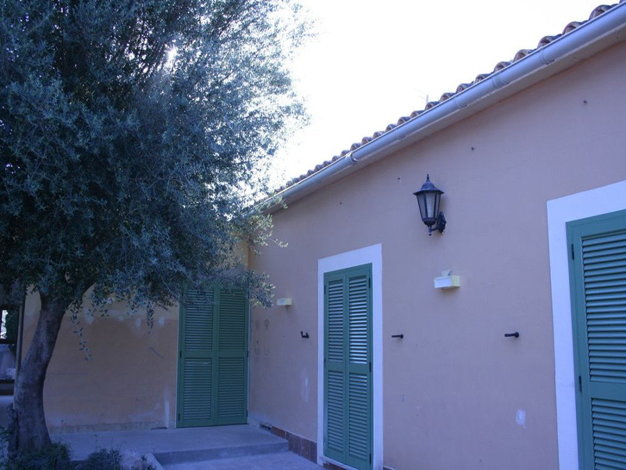Binicanella