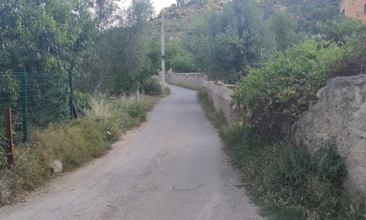 camí de Barcelona