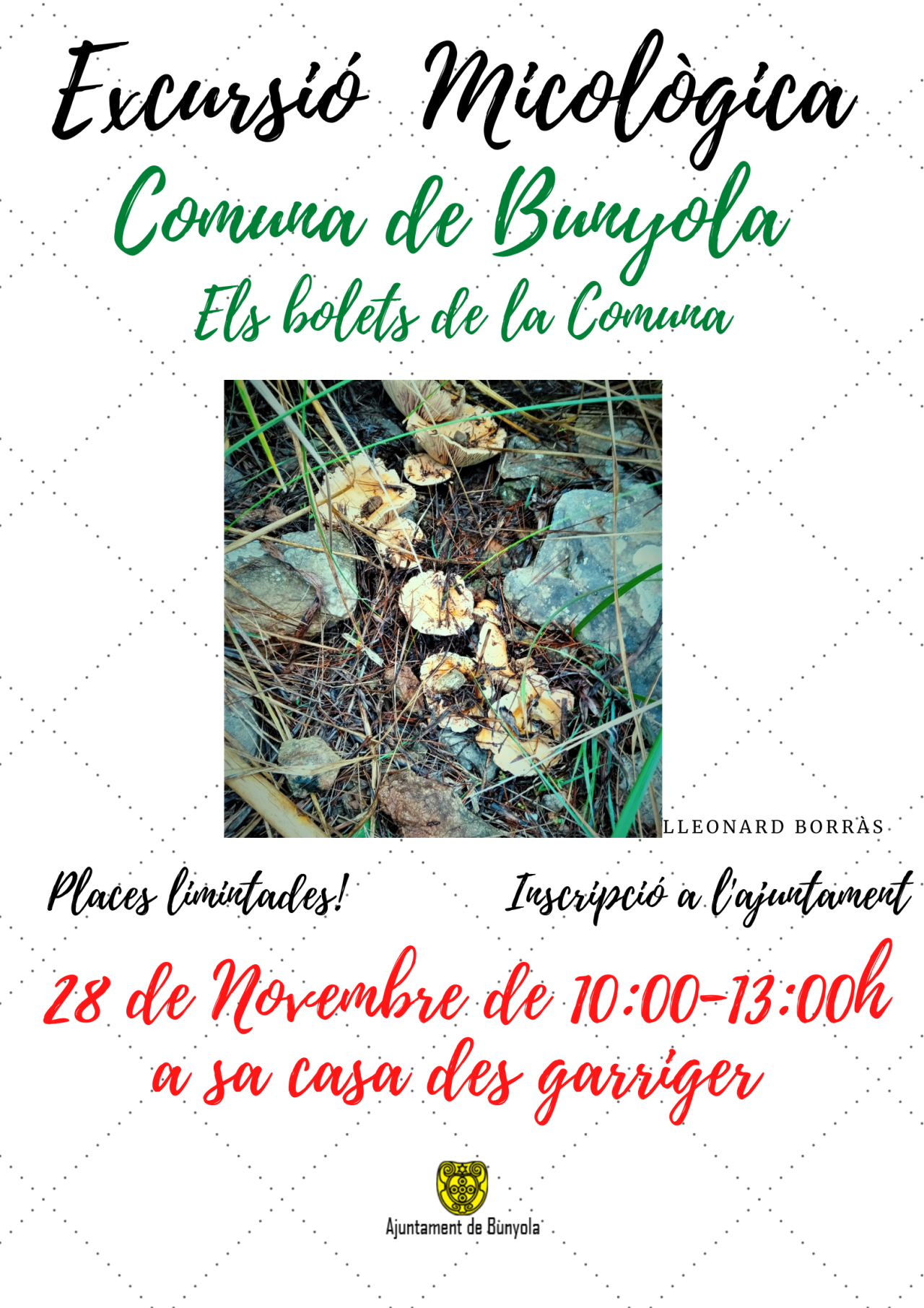 EXCURSIÓ MICOLÒGICA