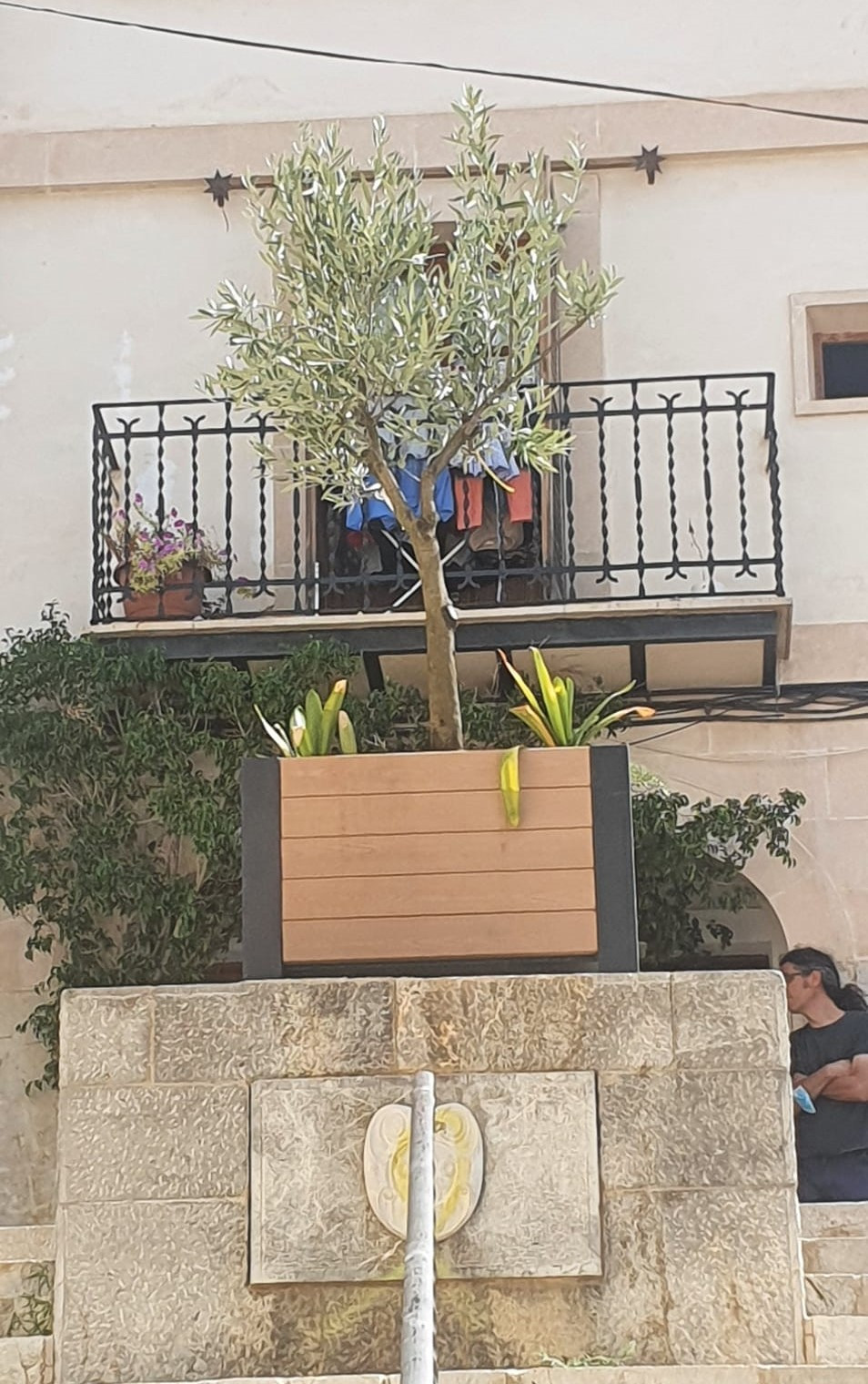 olivera