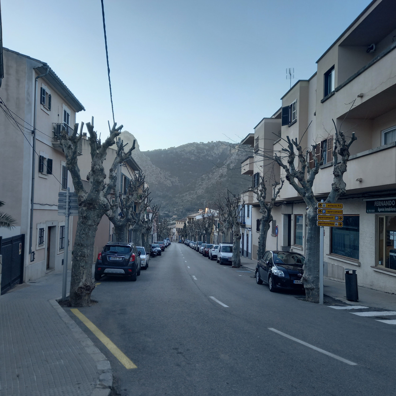 Poda dels arbres de la costa de l'estació
