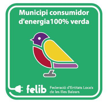 energia 100% verda