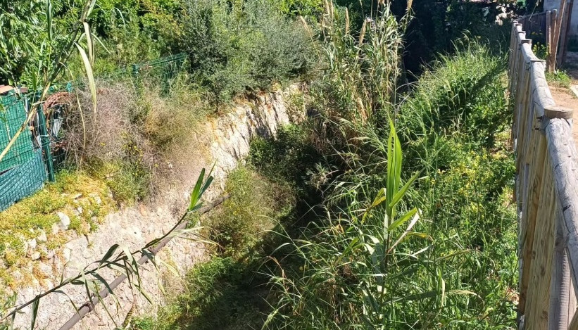 neteja torrent gros