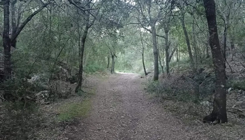 sa comuna