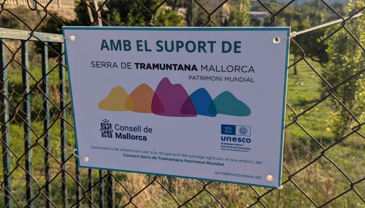 Consell de Mallorca