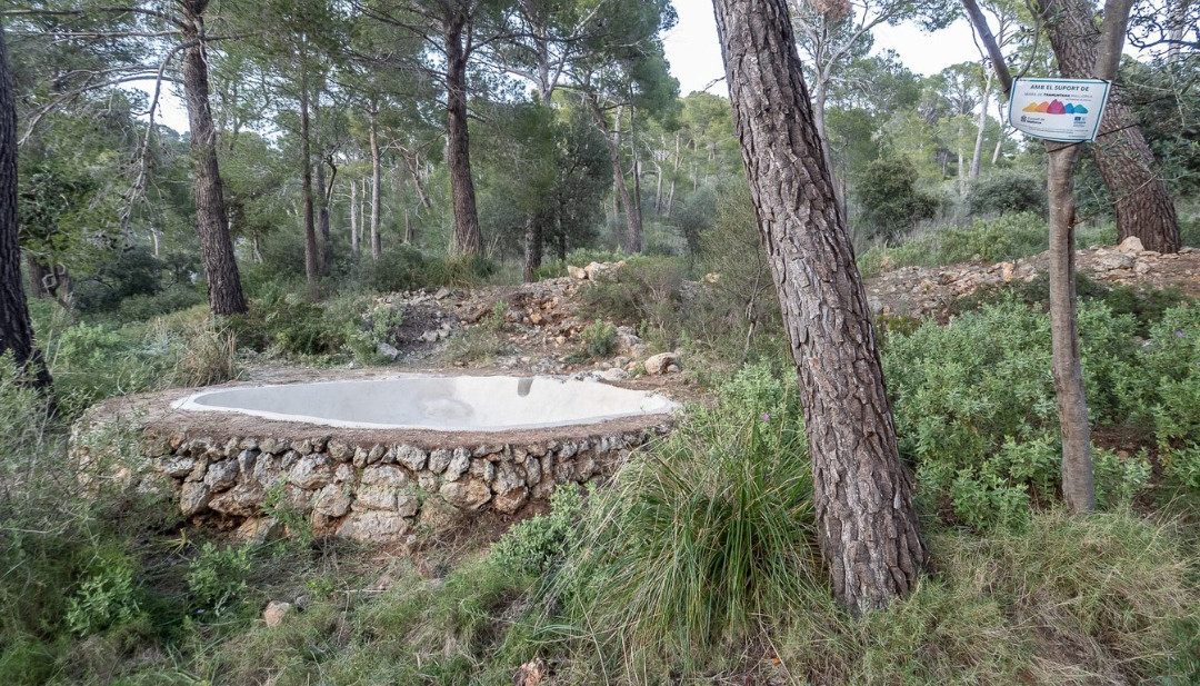 bunyola