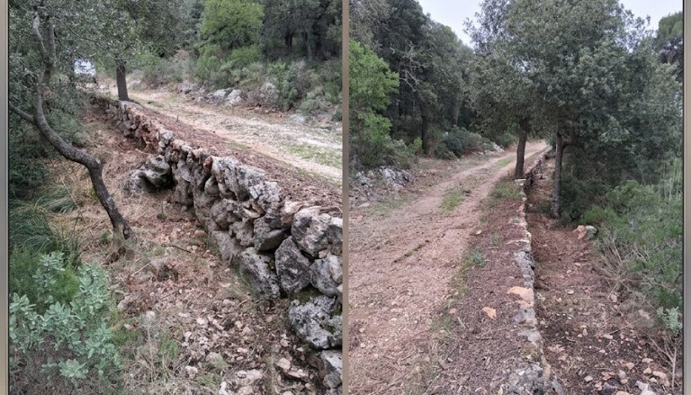 bunyola