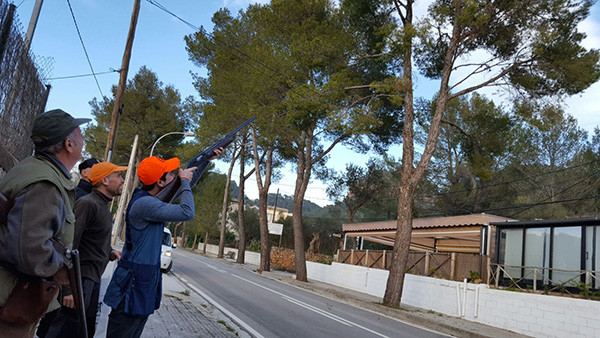 L'Associació de caçadors amb l'Ajuntament contra la processionària