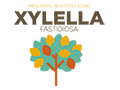 La Xylella fastidiosa. Preguntes i respostes
