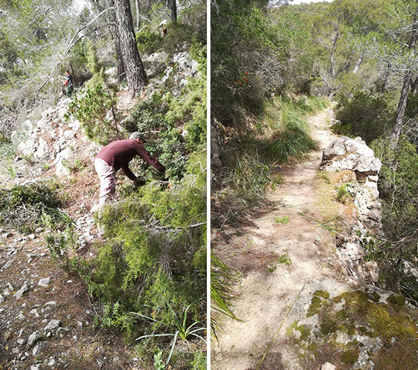 Neteja del camí del Comellar de sa Parra