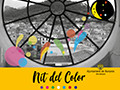 Programa de la Nit del Color