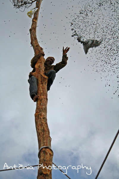 Premi de fotografia sant Mateu 2015. Imatges guanyadores