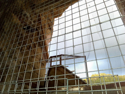 Instal·lades gàbies al campanar per als coloms