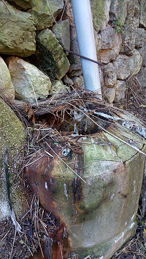 La neteja del torrent Gros a Bunyola (II)