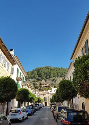 Poda al nucli antic de Bunyola
