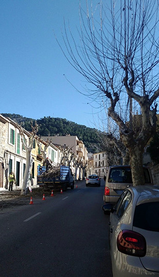 Poda al nucli antic de Bunyola