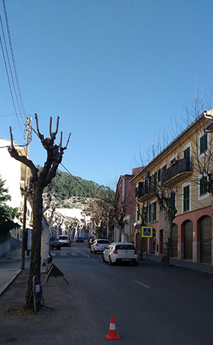 Poda al nucli antic de Bunyola
