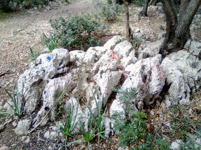 Pintades a sa Comuna