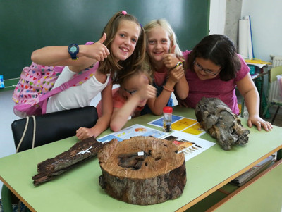 Taller d'educació ambiental al CP Mestre Colom