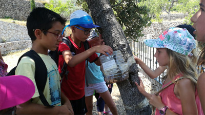 Taller d'educació ambiental