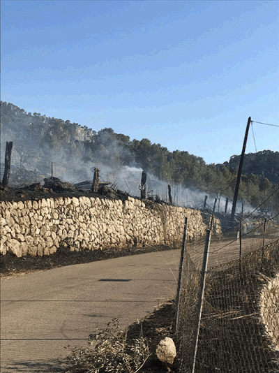 Incendi a Orient
