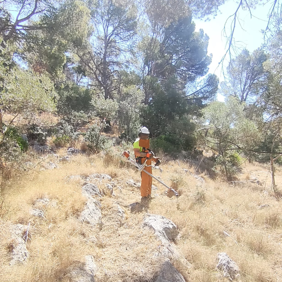 Bunyola 