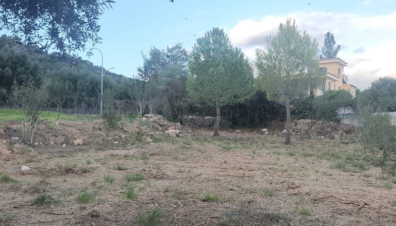 bunyola
