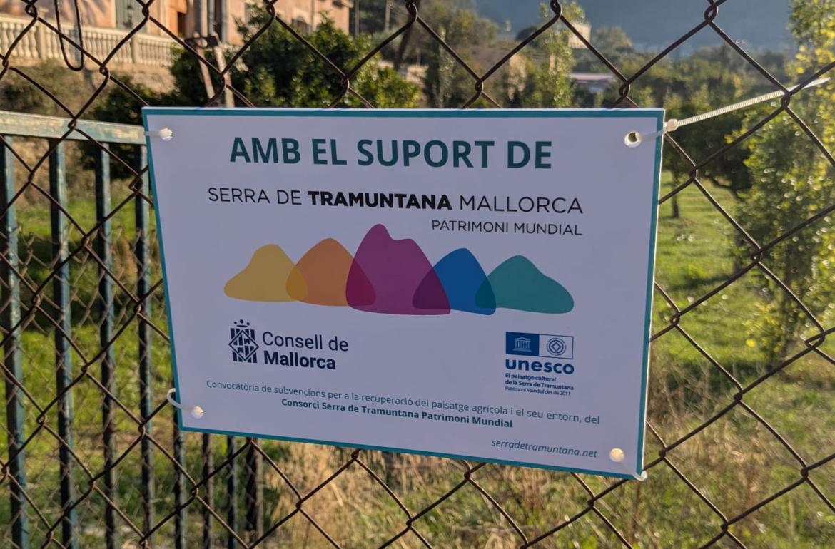 Consell de Mallorca