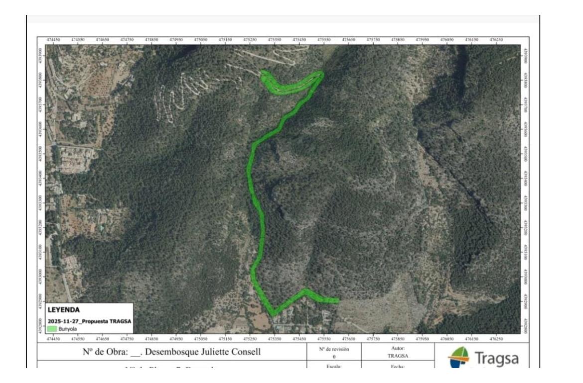 Projecte de neteja forestal a Sa Comuna de Bunyola
