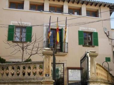 Vine al ple de l'ajuntament