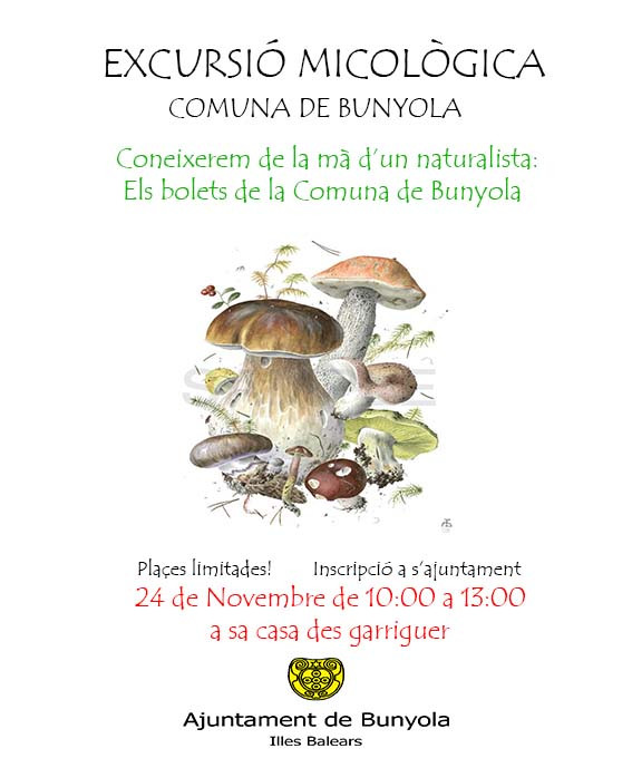 JORNADA DE BOLETS A SA COMUNA