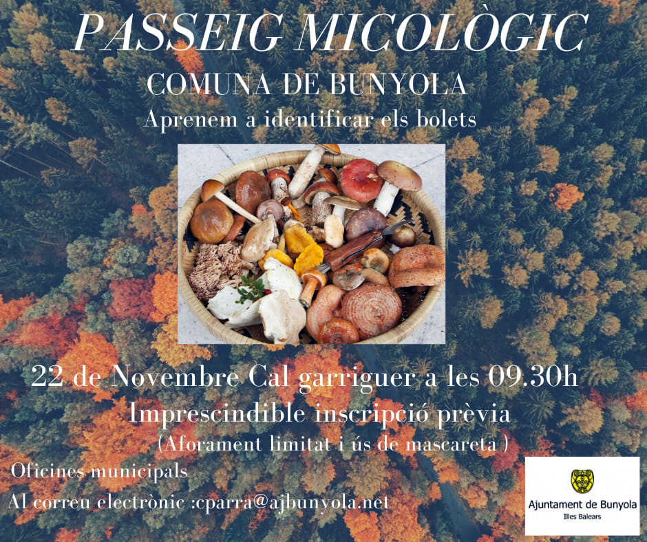 Passeig micològic per la Comuna