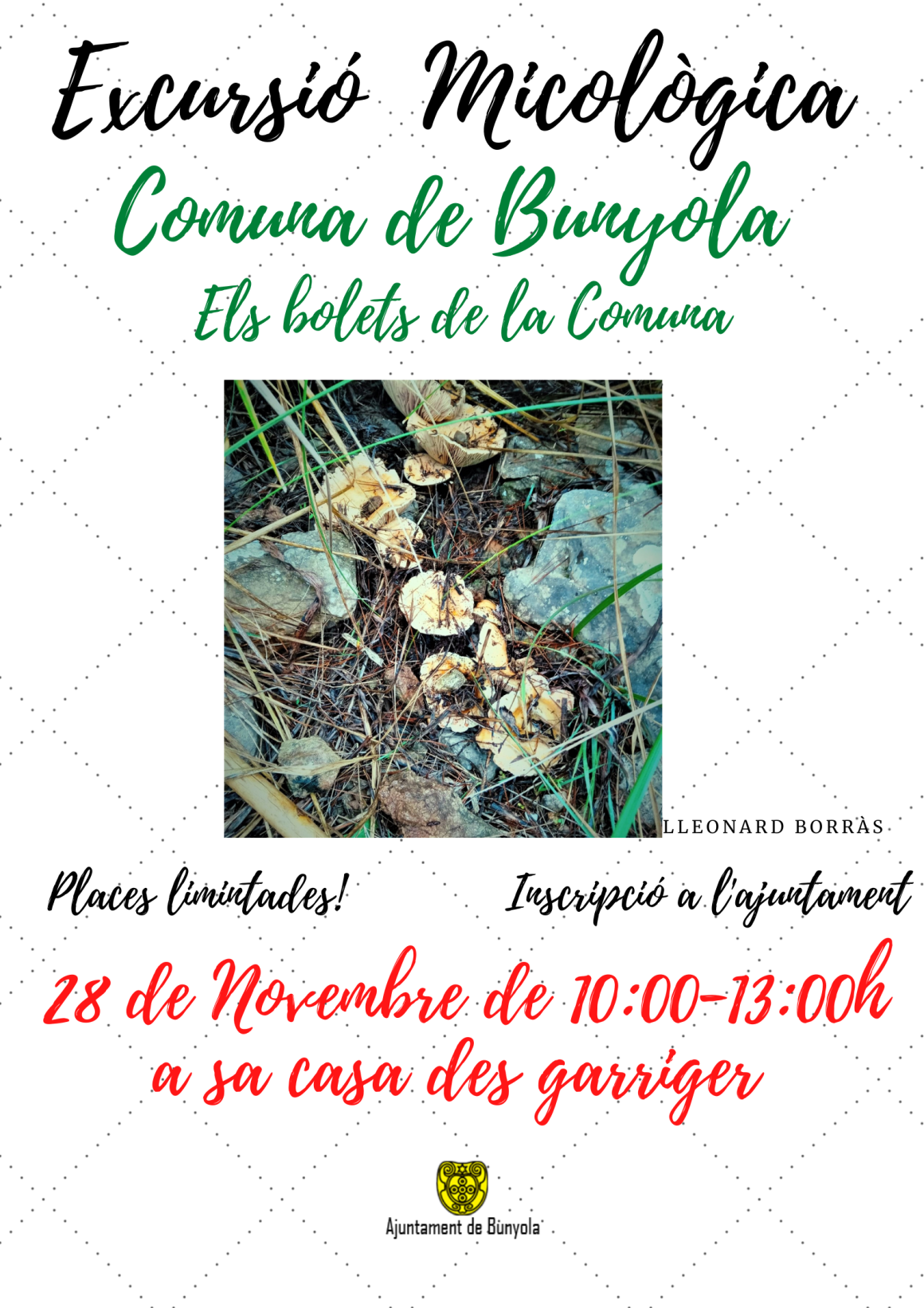 EXCURSIÓ MICOLÒGICA