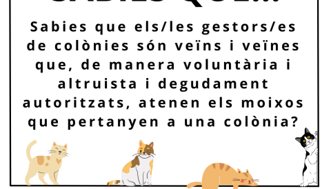 Moixos - Bunyola