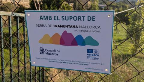 Consell de Mallorca