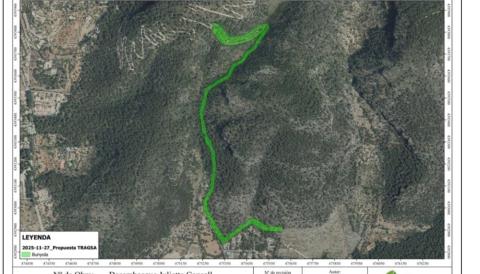 Projecte de neteja forestal a Sa Comuna de Bunyola